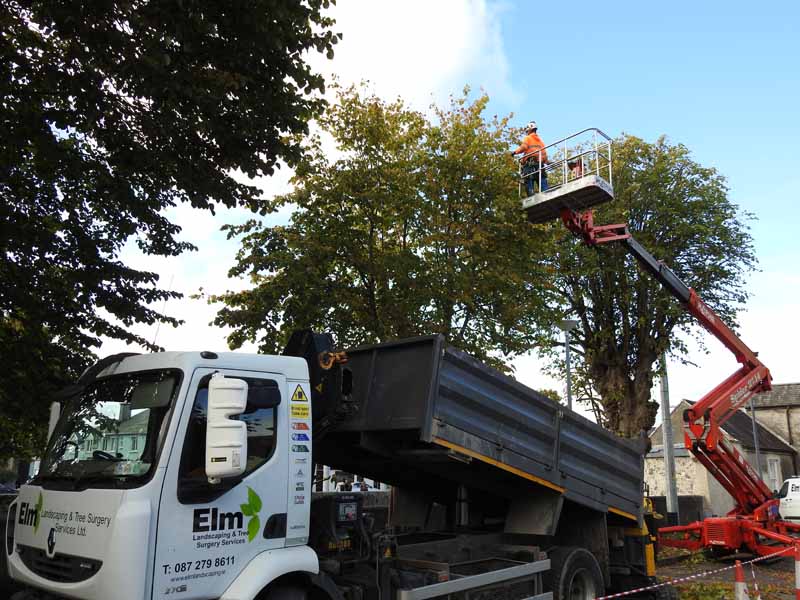Elm Landscaping Services Ltd offer professional tree surgery, tree care and arboriculture services nationwide.