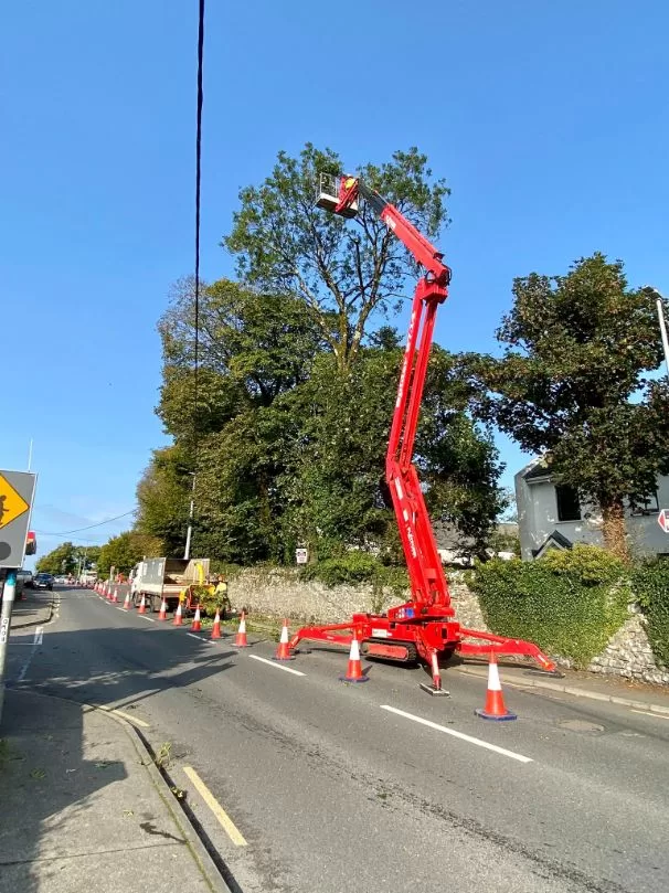 Large tree surgery hoist on roadside