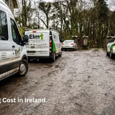 Tree-Felling-Cost-Ireland
